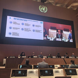 В Женеве на площадке на площадке Генеральной ассамблеи ООН состоялся пятый форум, посвященный сохранению и рациональному использованию океанов, морей и морских ресурсов в интересах устойчивого развития экономики. Фото пресс-службы Минприроды РФ, CC BY 4.0