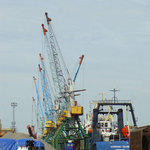 В Калининградском морском рыбном порту