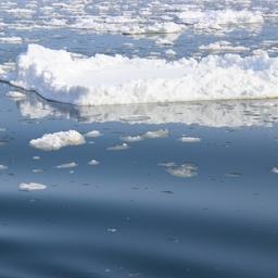 Ученые отмечают, что льды стали таять намного быстрее
