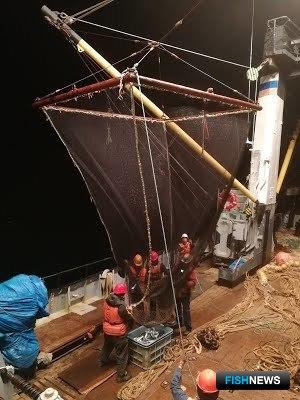 Искать скопления сардины и скумбрии рыбакам помогали ученые. Фото пресс-службы ТИНРО-Центра