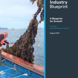 В Австралии опубликован план развития индустрии морских водорослей. Иллюстрация AgriFutures Australia