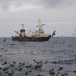 Минсельхоз представил для обсуждения новый вариант проекта приказа об индикаторах риска для госконтроля безопасности рыбопромыслового флота