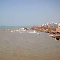 Побережье вблизи порта Эс-Сувейра, Марокко. Фото WT  («Википедия»)