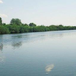 Река Урал в Челябинской области. На Урале расположены два из выставленных участков. Фото Тутыйғош («Википедия»)