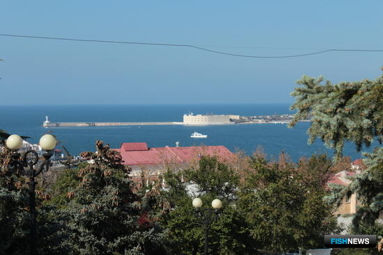 Вид на побережье Севастополя