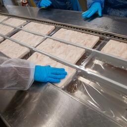 Береговые заводы были построены в северных регионах под квоты трески и пикши. Архивное фото