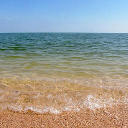 Специалисты ВНИРО зафиксировали новые рекорды солености вод Азовского моря. Фото пресс-службы института