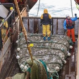 Рыбный промысел на Северном бассейне. Фото пресс-службы АТФ