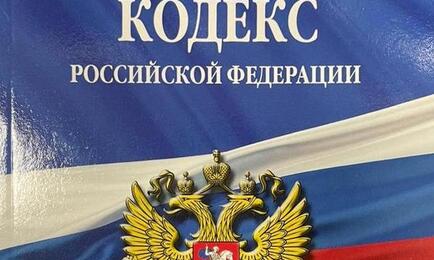 Перевозчиков осудили по части 3 статьи 258.1 УК РФ