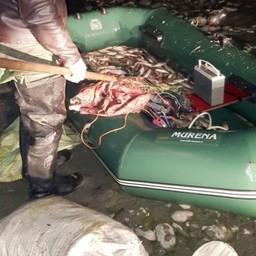 Добыча рыбы с применением электрического тока относится к наиболее варварским способам промысла. Фото пресс-службы Западно-Каспийского теруправления ФАР.