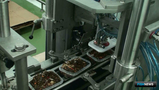 Cabinplant - автоматизированная линия для переработки морских водорослей и производства салатов