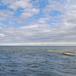Для первого платежа за рыболовные участки подготовили отсрочку