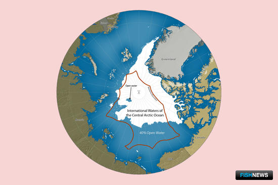 До октября 2018 г. Арктика оставалась последним крупным регионом, где отсутствовали глобальные договоренности в области рыболовства