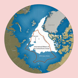 До октября 2018 г. Арктика оставалась последним крупным регионом, где отсутствовали глобальные договоренности в области рыболовства