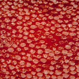 В Камчатском крае продолжается эксперимент по контролю перевозок лососевой икры авиатранспортом