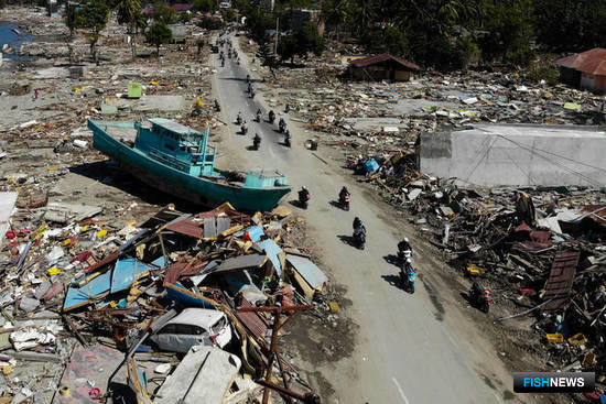 Разрушения в городе Палу после землетрясения и цунами в Индонезии 28 сентября. Фото Jewel Samad (ФАО)