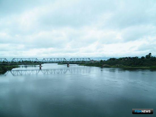 Река Уссури в городе Лесозаводске. Фото Andshel («Википедия»)