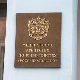 С марта Федеральное агентство по рыболовству откроет прием заявок на участие в программе инвестиционных квот добычи