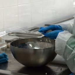 Студенты Дальрыбвтуза придумывают новые рыбные блюда. Архивное фото