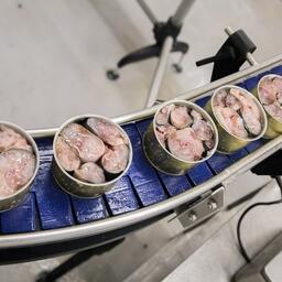 Береговой комплекс в Пионерском выпускает консервы более чем из 15 видов рыб