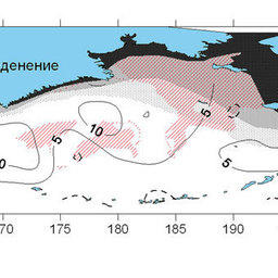 Карта вероятности обледенения на акватории Берингова моря в январе