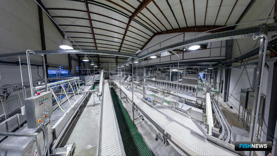 Завод ООО «РПК “Восточное”» в селе Иннокентьевка Хабаровского края. Суточная производственная мощность заморозки – 250 тонн рыбы