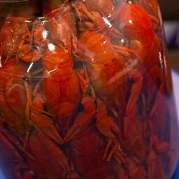 Минсельхоз закрыл промышленное рыболовство раков в озерах Новосибирской области