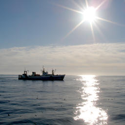 Рыбаки получили правила распределения и закрепления международных квот