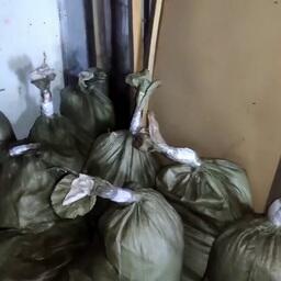 В общей сложности изъято 350 кг осетровых и 50 л черной икры. Скриншот видео пресс-службы ГУ МВД России по Красноярскому краю