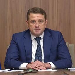 Руководитель Росрыболовства Илья ШЕСТАКОВ рассказал о результатах работы отрасли и процессах в ней на совещании у президента. Кадр видео с сайта главы государства