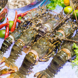 «Бесплатный въезд» на китайский рынок получили лобстер и еще 32 вида рыбы и морепродуктов из Вьетнама. Фото с сайта baodautu.vn
