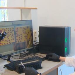 Особое вмешательство биологи проводят на самых ранних этапах эмбрионального развития. Фото пресс-службы ГосНИОРХ