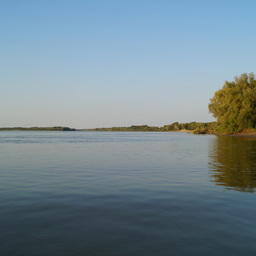 Река Обь в Павловском районе Алтайского края. Фото kayak22 («Википедия»). Файл доступен на условиях лицензии Creative Commons Attribution 3.0 Unported