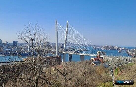 Предприятиям интересны пути для более эффективного экспорта