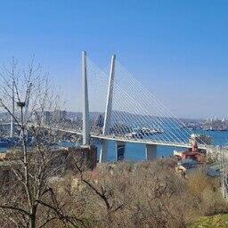 Рыбный клуб соберется во Владивостоке 22 мая для обсуждения работы на рынках АТР