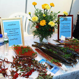 12 Международная специализированная выставка «Рыбная индустрия». Южно-Сахалинск, октябрь, 2008 г.