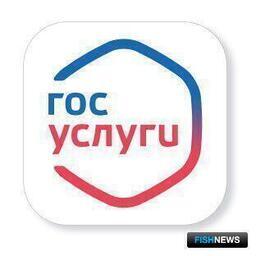 Правительство внедряет на портале госуслуг комплексную выдачу разрешений