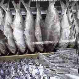 Рейды проходят в том числе в торговых точках. Кадр оперативной съемки