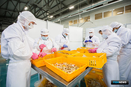 Комплекс по переработке морепродуктов в Невельске