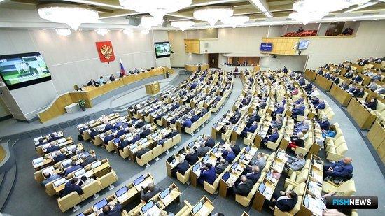 Заседание Госдумы. Фото с сайта нижней палаты парламента