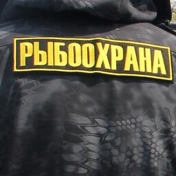 Рыбоохрана Таймыра укрепляет сотрудничество с силовиками. Архивное фото