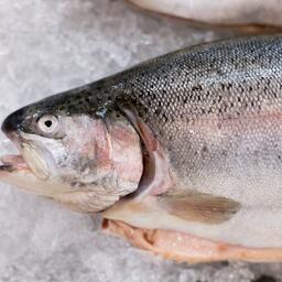 Рыбоводство вновь обогнало промысел, но теперь и по объему товаров из водных животных без учета водорослей