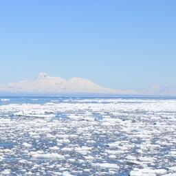 «Рыбные» планы на Севморпуть по-прежнему интересуют властей, сообщает корреспондент Fishnews. Росрыболовство попросило организации направить информацию по потенциальным грузоотправителям и количеству рыбопродукции, планируемой к перевозке. Отмечено, что это необходимо в том числе в целях проработки загрузки рыбной продукцией, которую предполагается отправить по акватории СМП в рамках субсидируемых каботажных рейсов в 2026 г. Читайте также: Механизм субсидий для доставки рыбопродукции предложили доработать Больше новостей читайте в телеграм-канале Fishnews. Fishnews