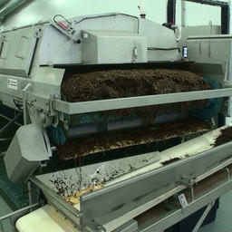 Cabinplant - автоматизированная линия для переработки морских водорослей и производства салатов