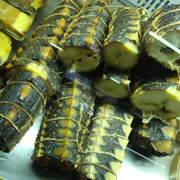 В Ханты-Мансийском автономном округе — Югре на аукцион выставили шесть участков под индустриальную и пастбищную аквакультуру