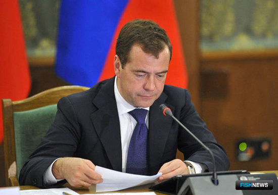 Дмитрий МЕДВЕДЕВ. Фото пресс-службы Правительства РФ