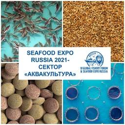 Организаторы выставки Seafood Expo Russia выделят специальную зону для предприятий аквакультуры. Фото предоставлено ESG
