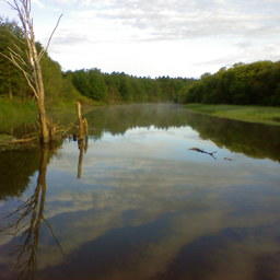 Река Малая Визинга, на которой расположен один из участков. Фото maximpian («Википедия»). Файл доступен по лицензии Creative Commons Attribution 3.0 Unported