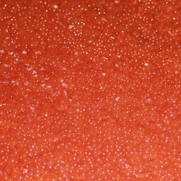 Фигурант вместе с подельниками планировал сбыть 1,3 тонны красной икры