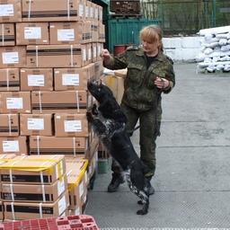 Работа служебной собаки на досмотре партии груза. Первомайский пост Владивостокской таможни